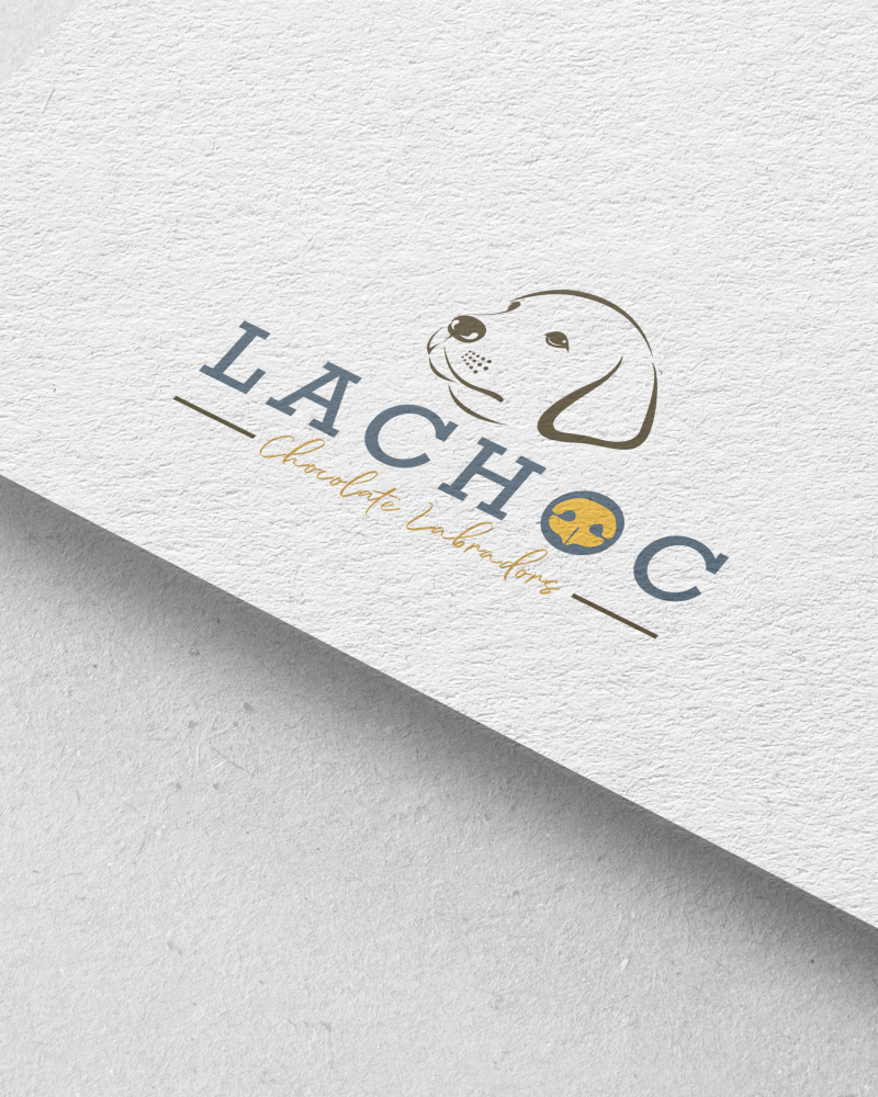 Logo Mockup